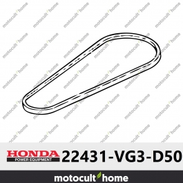 Courroie de traction Honda 22431VG3D50 ( 22431-VG3-D50 / 22431-VG3-D50 )