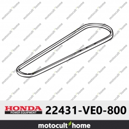 Courroie en V Honda 22431VE0800 ( 22431-VE0-800 )
