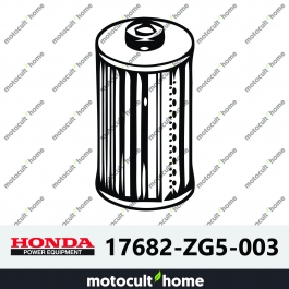 Filtre à gasoil Honda 17682ZG5003 ( 17682-ZG5-003 )