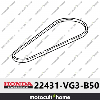 Courroie dentrainement de lame Honda 22431VG3B50 ( 22431-VG3-B50 )-30