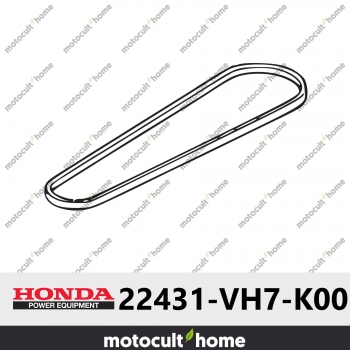Courroie en V Honda 22431VH7K00 ( 22431-VH7-K00 )-30