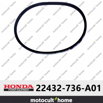 Courroie en V Honda 22432736A01 ( 22432-736-A01 )-30