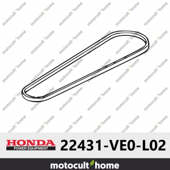 Courroie en V Honda 22431VE0L02 ( 22431-VE0-L02 )-30