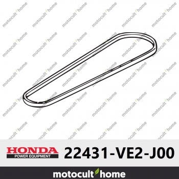 Courroie en V Honda 22431VE2J00 ( 22431-VE2-J00 )-30