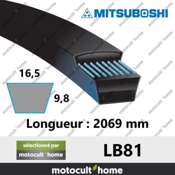 Courroie LB81-30