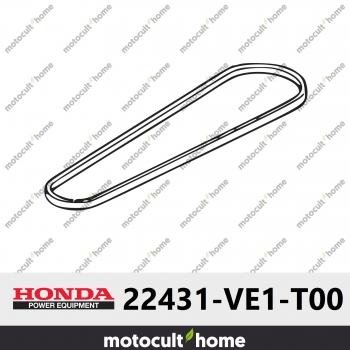 Courroie en V Honda 22431VE1T00 ( 22431-VE1-T00 )-30