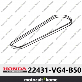 Courroie en V Honda 22431VG4B50 ( 22431-VG4-B50 )-30