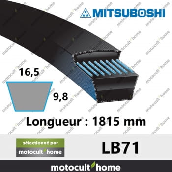 Courroie LB71-30