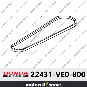 Courroie en V Honda 22431VE0800 ( 22431-VE0-800 )-30