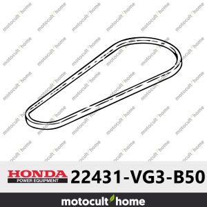Courroie dentrainement de lame Honda 22431VG3B50 ( 22431-VG3-B50 )-20
