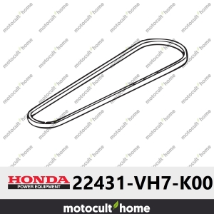 Courroie en V Honda 22431VH7K00 ( 22431-VH7-K00 )-20