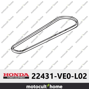 Courroie en V Honda 22431VE0L02 ( 22431-VE0-L02 )-20