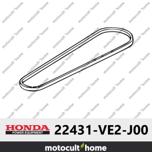Courroie en V Honda 22431VE2J00 ( 22431-VE2-J00 )-20