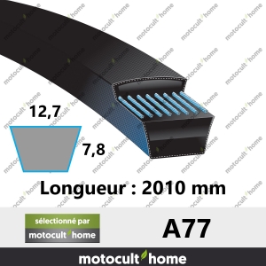 Courroie A77-20