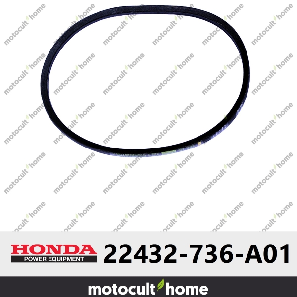 Courroie en V Honda 22432736A01 ( 22432-736-A01 )-20